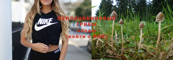 гидропоника Богородицк
