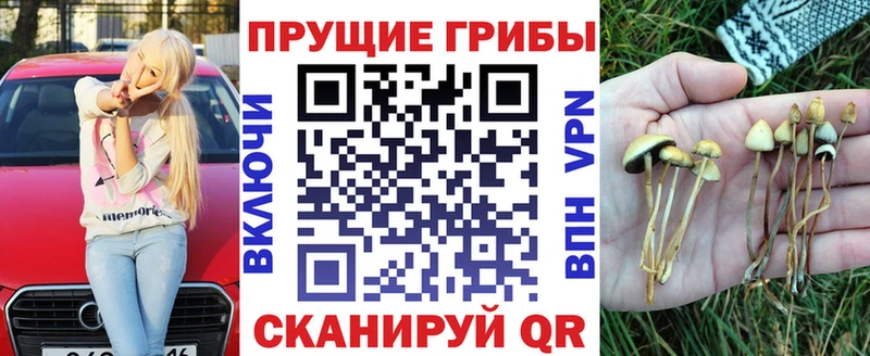 Галлюциногенные грибы Magic Shrooms Купить закладки Верхоянск